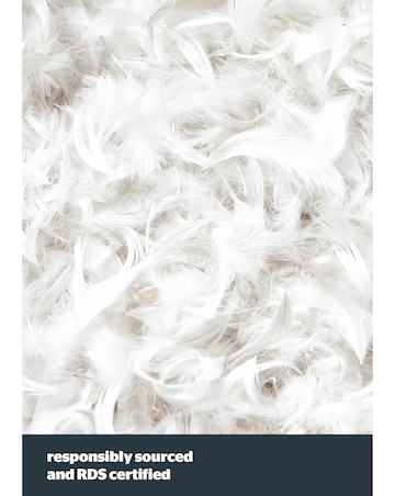 Silentnight Duck Feather & Down Anti-Allergy 10.5 Tog Duvet