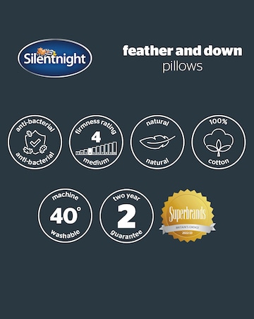 Silentnight 2 Pack Duck Feather & Down Anti-Allergy Pillows