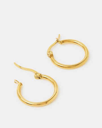 Accessorize ST Hoop Earrings