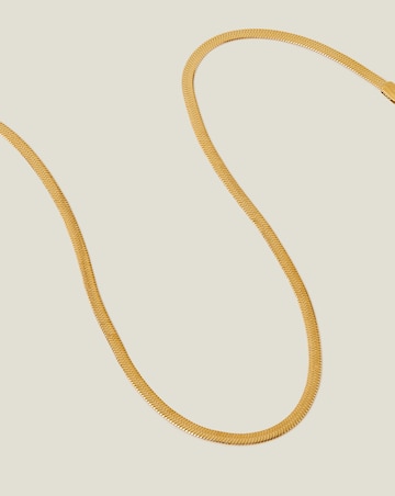 Accessorize  Omega Chain Necklace