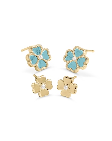 Radley Gold Plated Turquoise Earrings