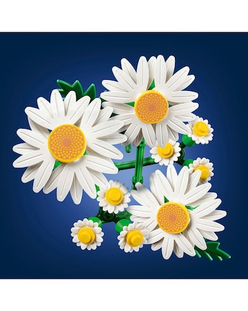 LEGO Botanicals Daisies