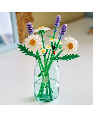 LEGO Botanicals Daisies